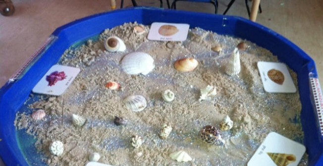 Sensory Development 
